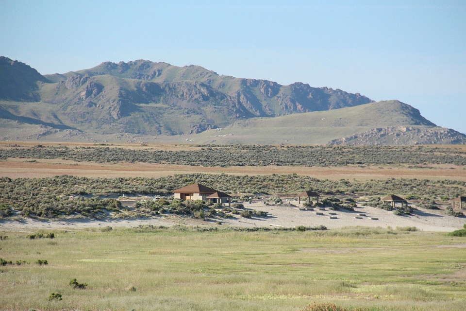 IMG 8971
