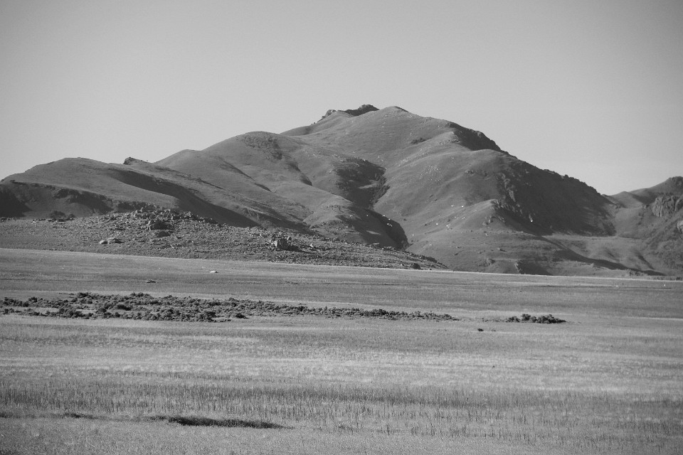 IMG 8996