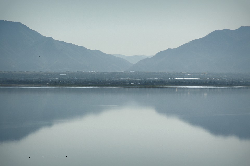 IMG 9088