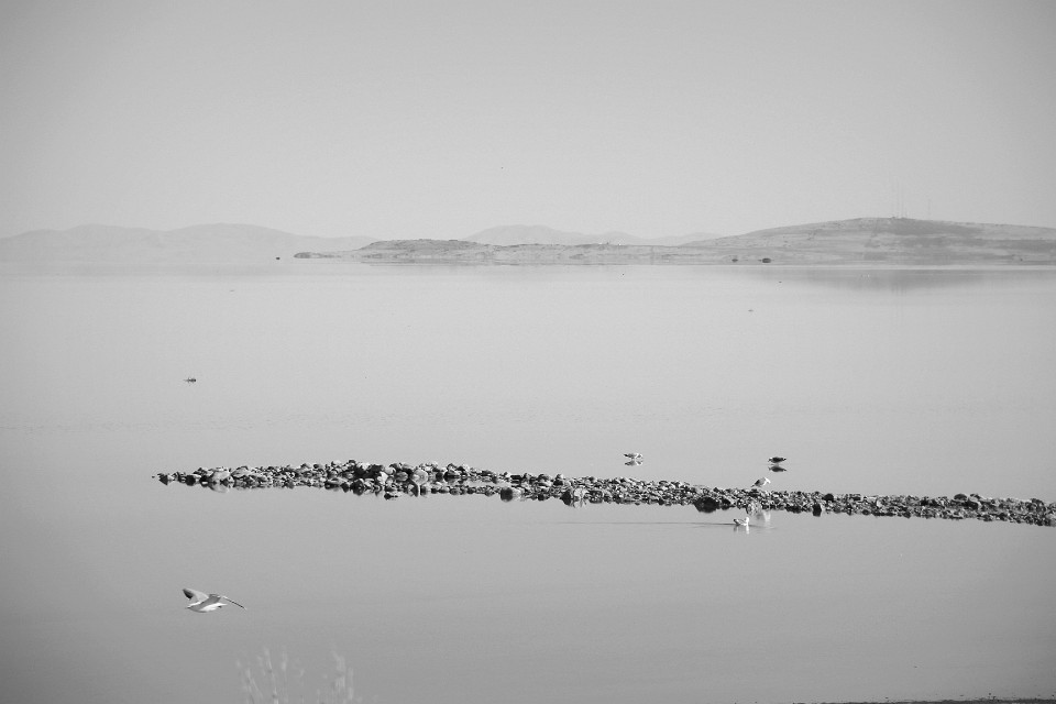 IMG 9117