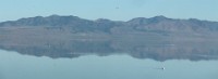 Antelope Island