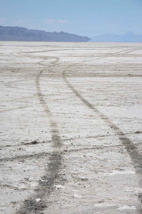 IMG 8591