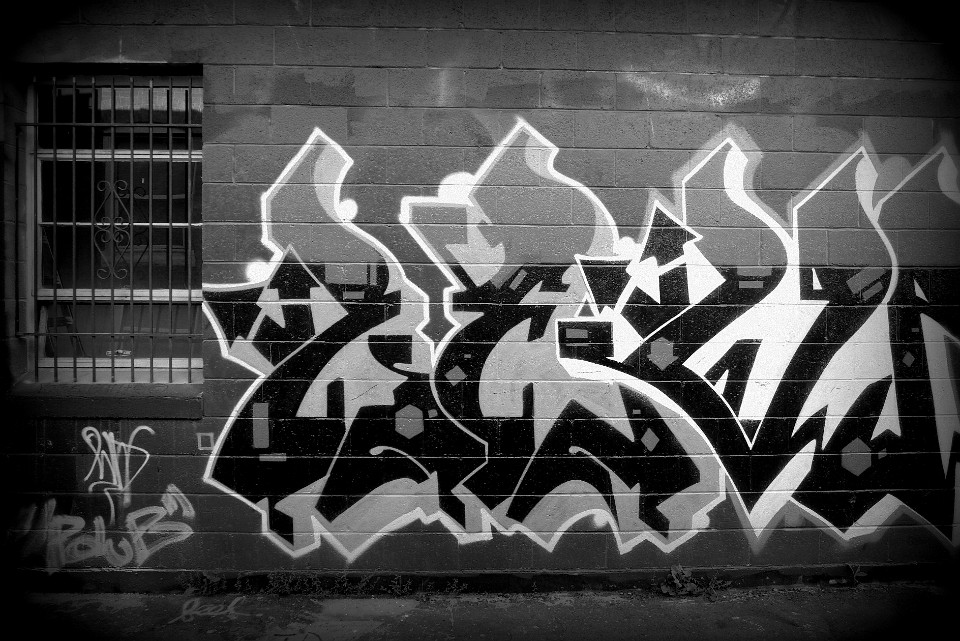 P1110906
