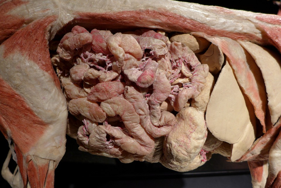 P1120335