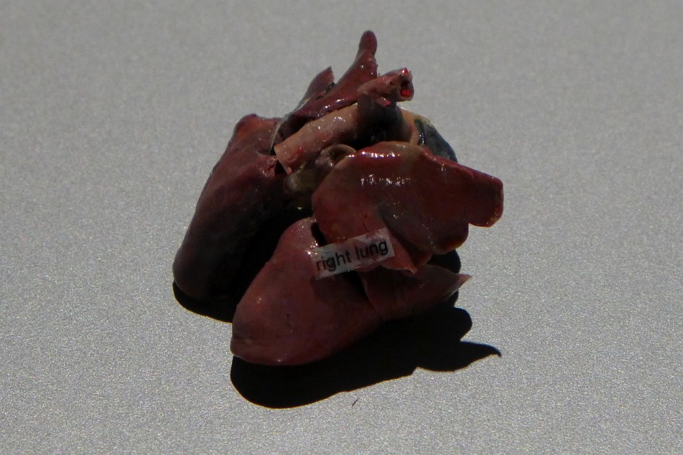 P1120357