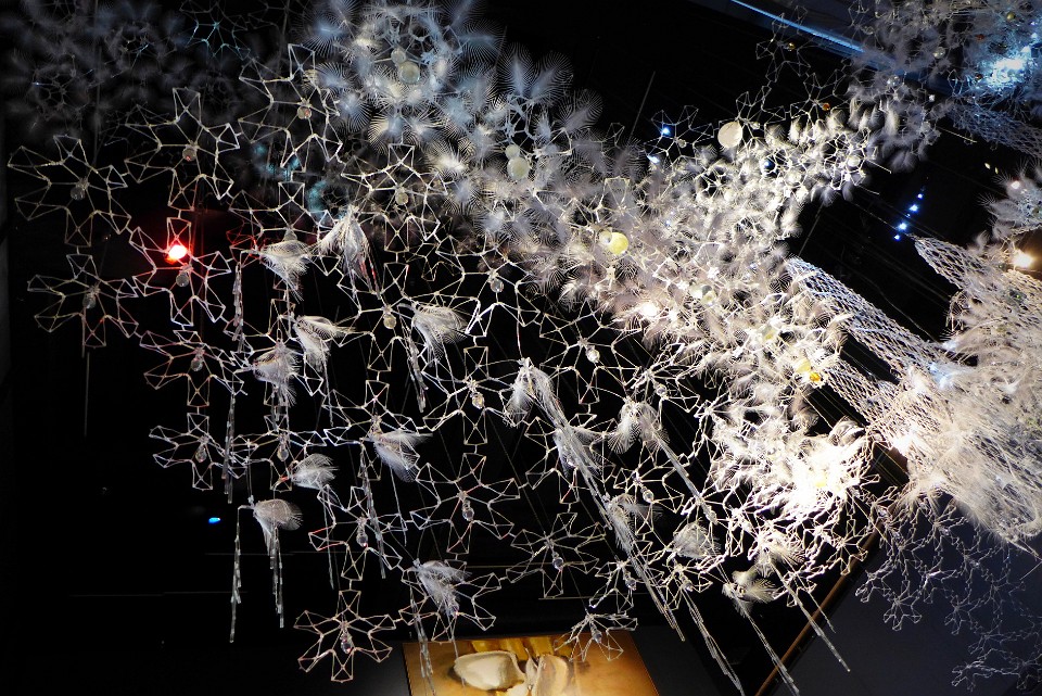 P1120398