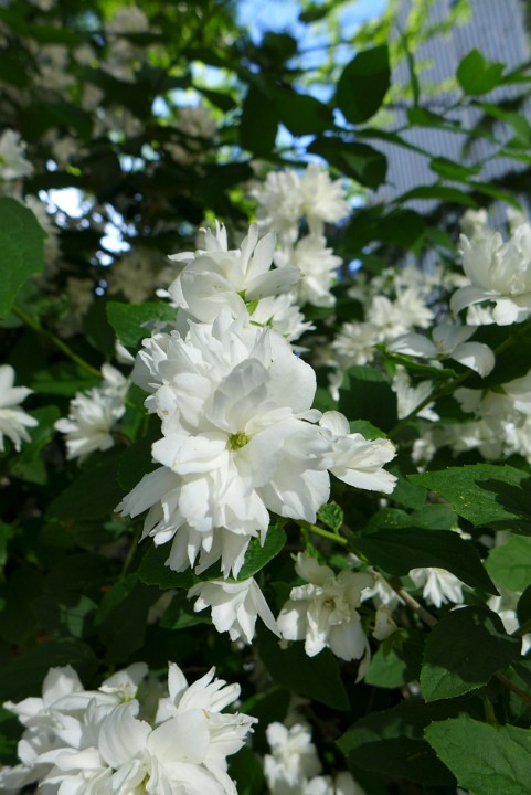 P1110473