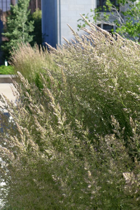 P1110519