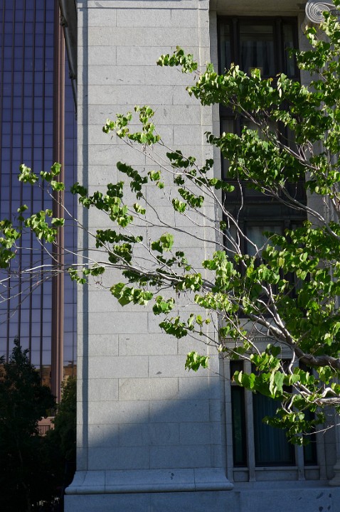 P1110521