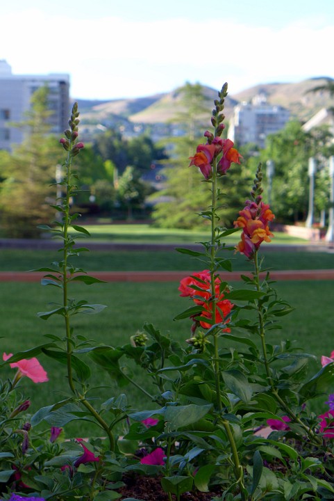 P1110801