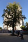 P1110783.JPG
