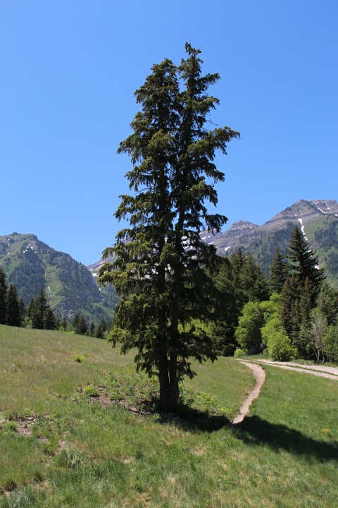 IMG 9189