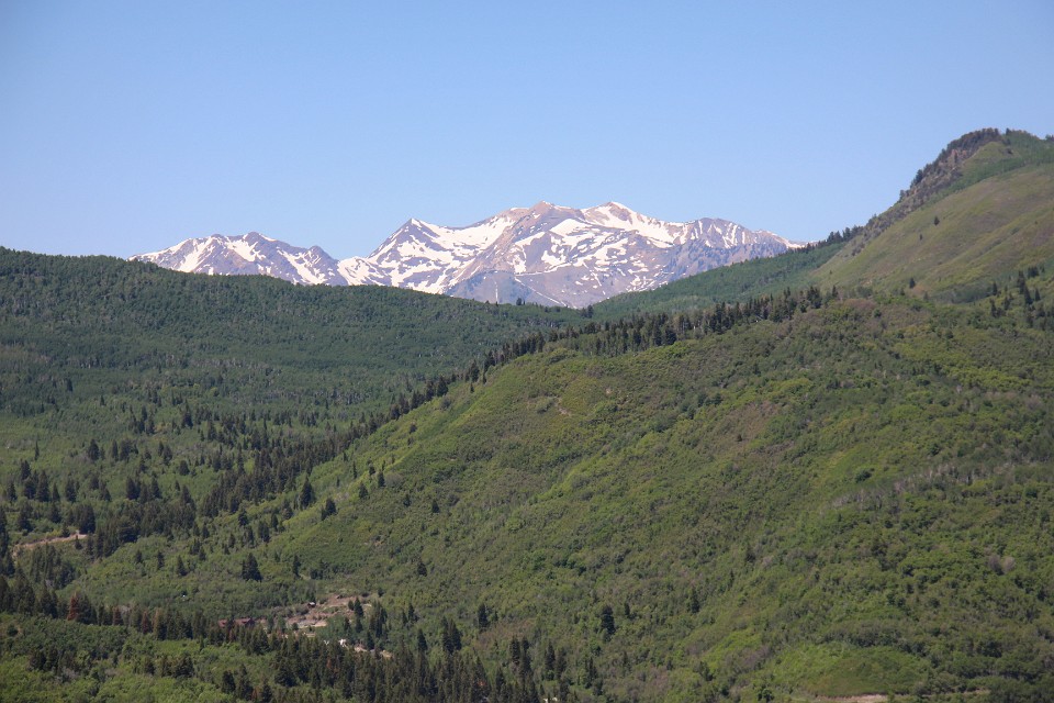 IMG 9259