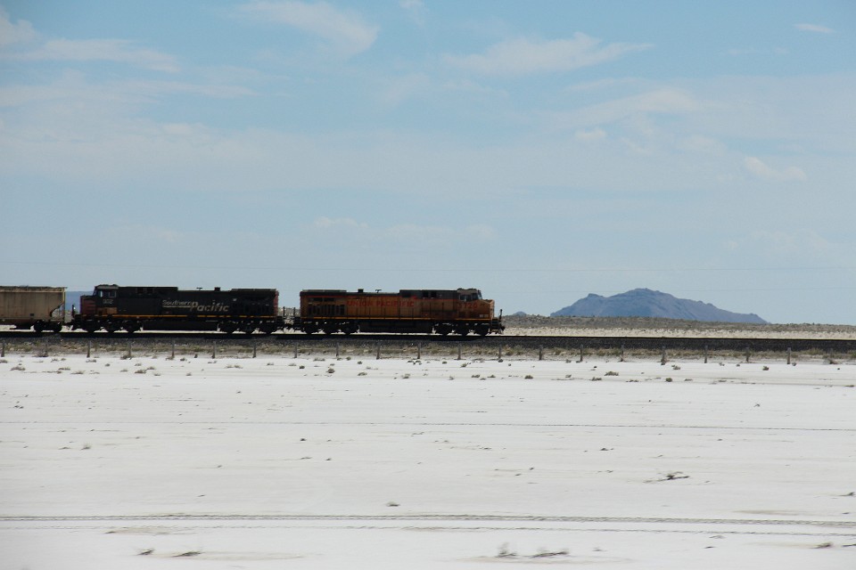 IMG 8667