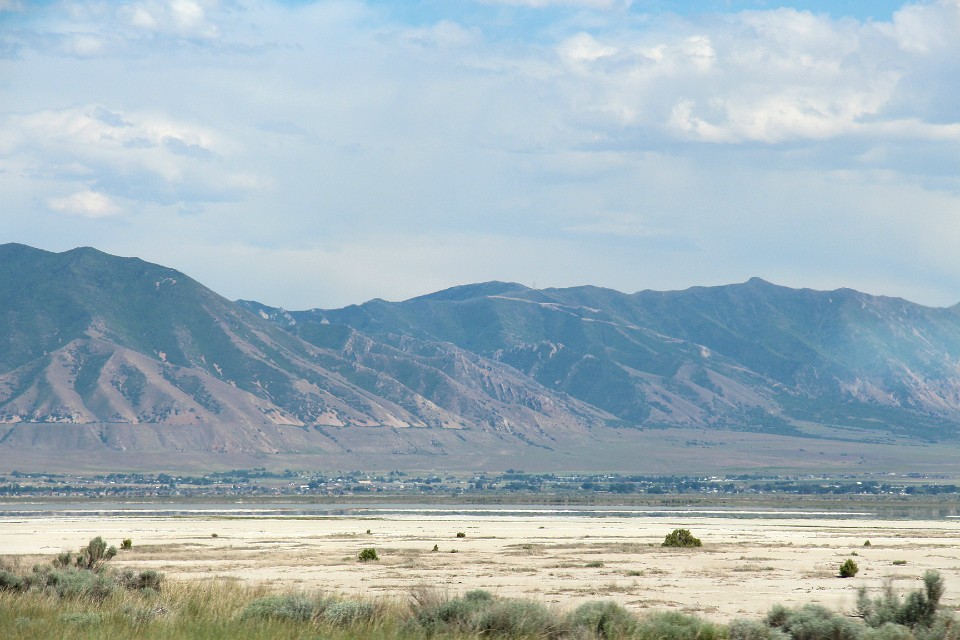 IMG 8717