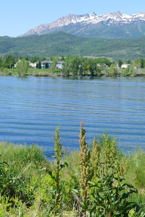 P1120067
