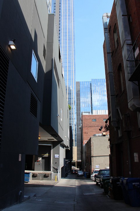 IMG 3491
