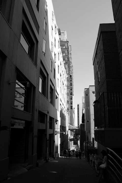 IMG 3577
