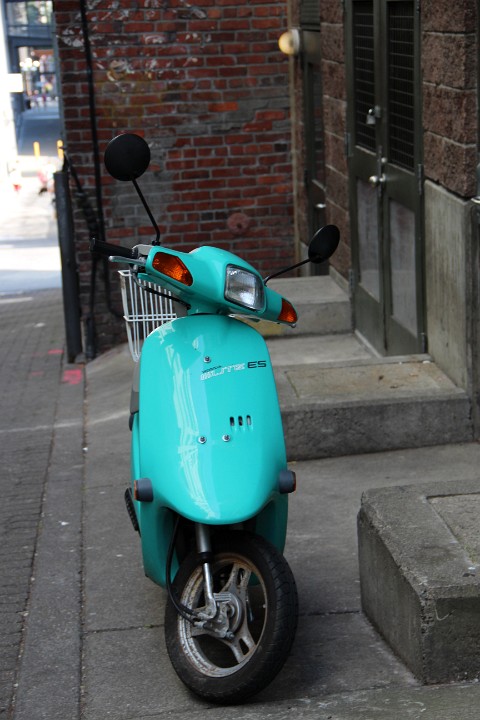 IMG 3583