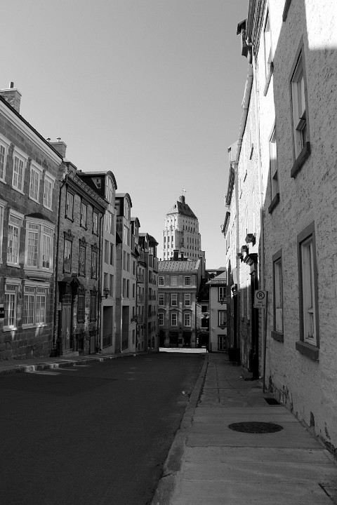 IMG 4537