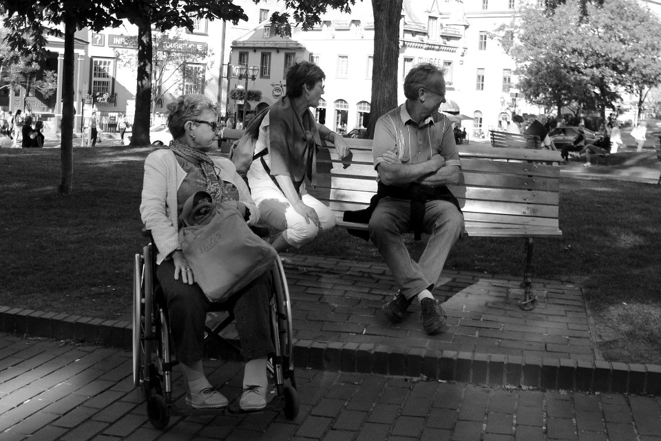 IMG 4579