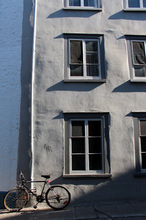 IMG 4653
