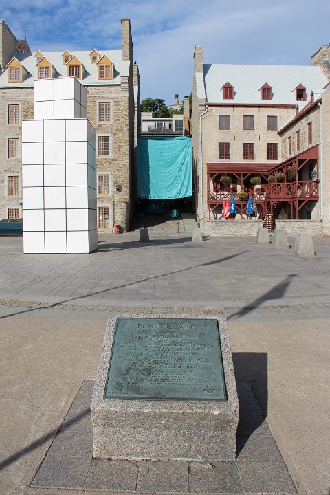 IMG 4935