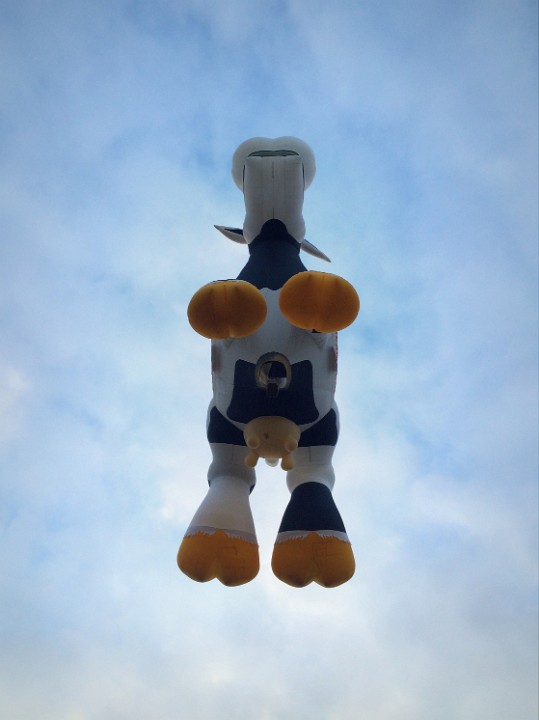 323