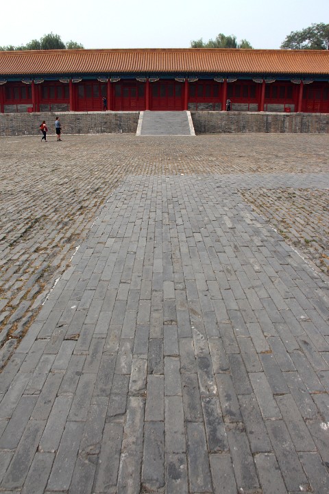 IMG 5531