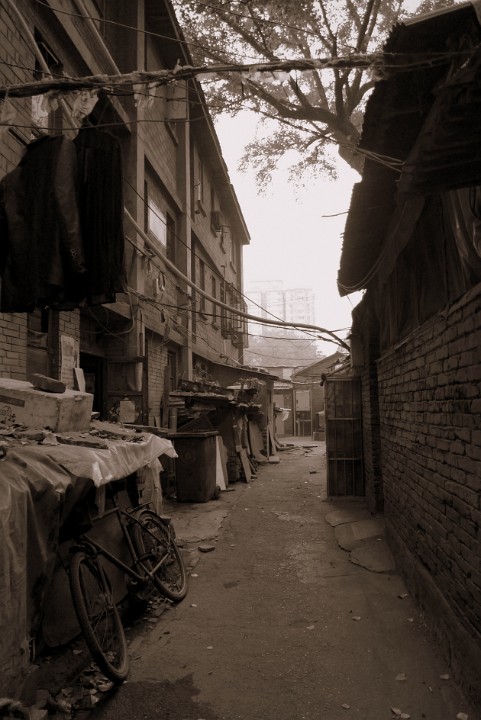 P1160105