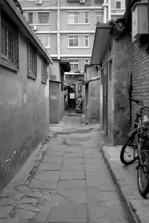 P1160260