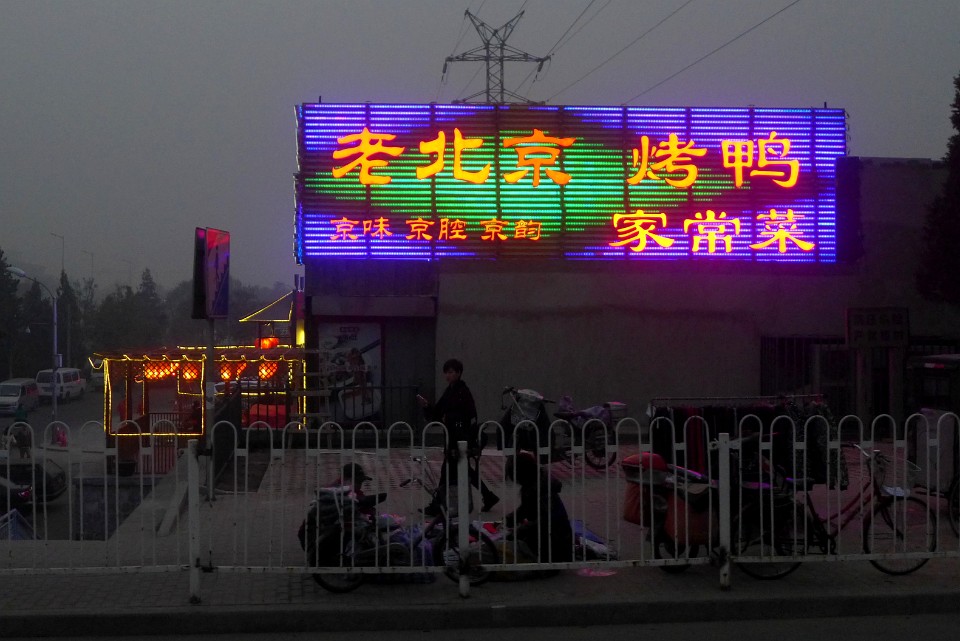 P1160895