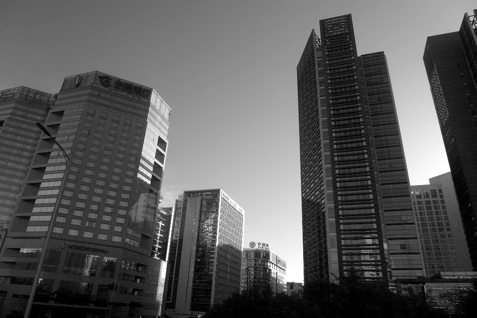 P1160988