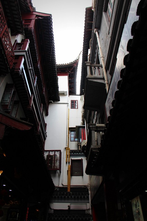 IMG 7314