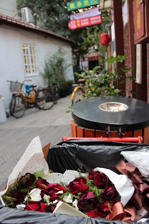 IMG 7547