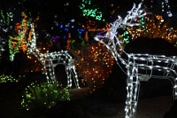 Ethel M Cactus Garden