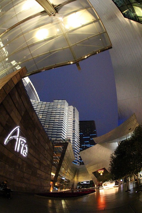 IMG 9164