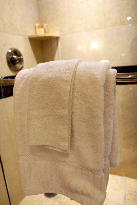 IMG 9519