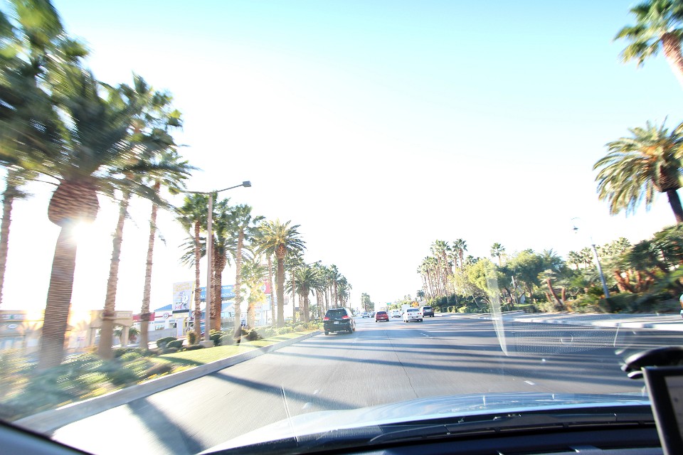 IMG 7981