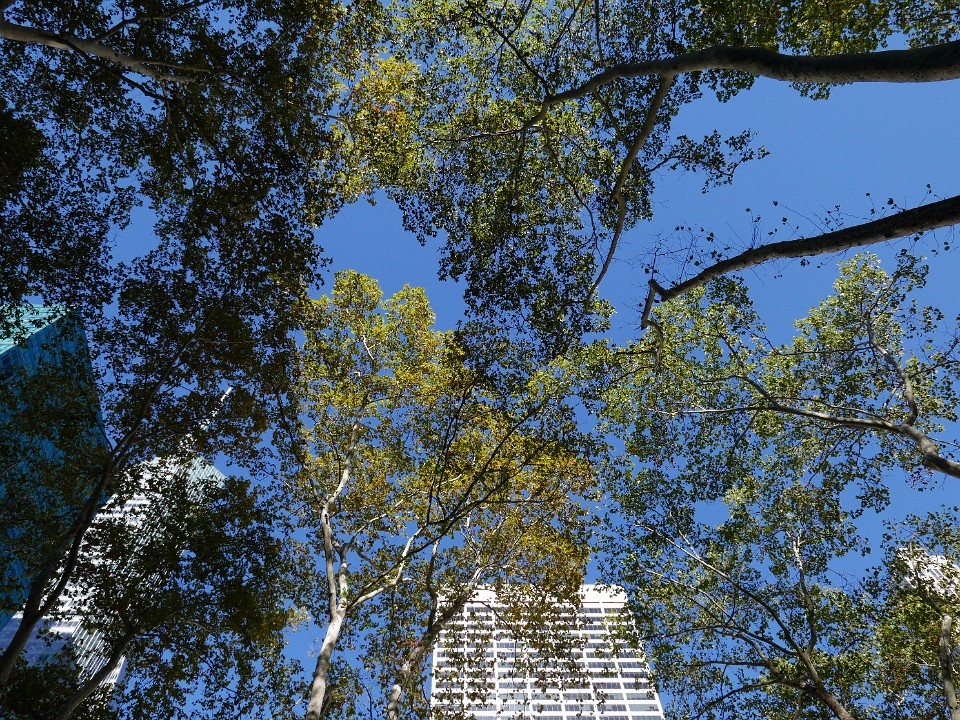 P1030581