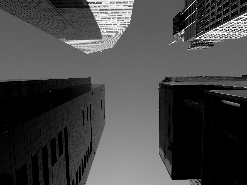 P1030631