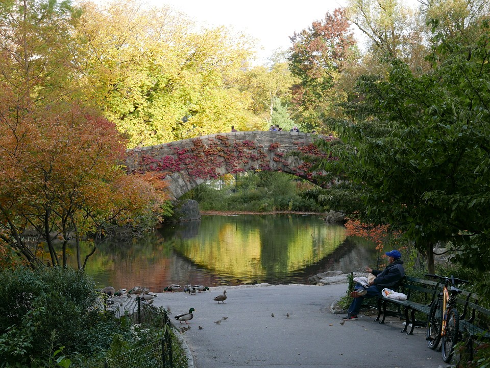 P1040623