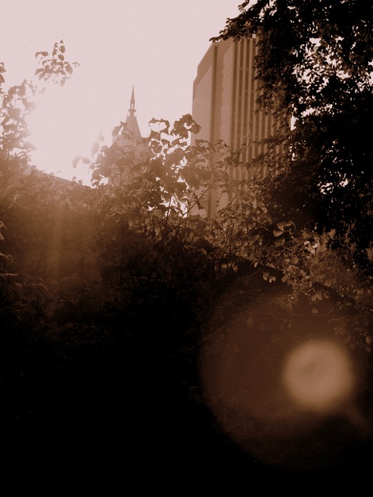 P1040632