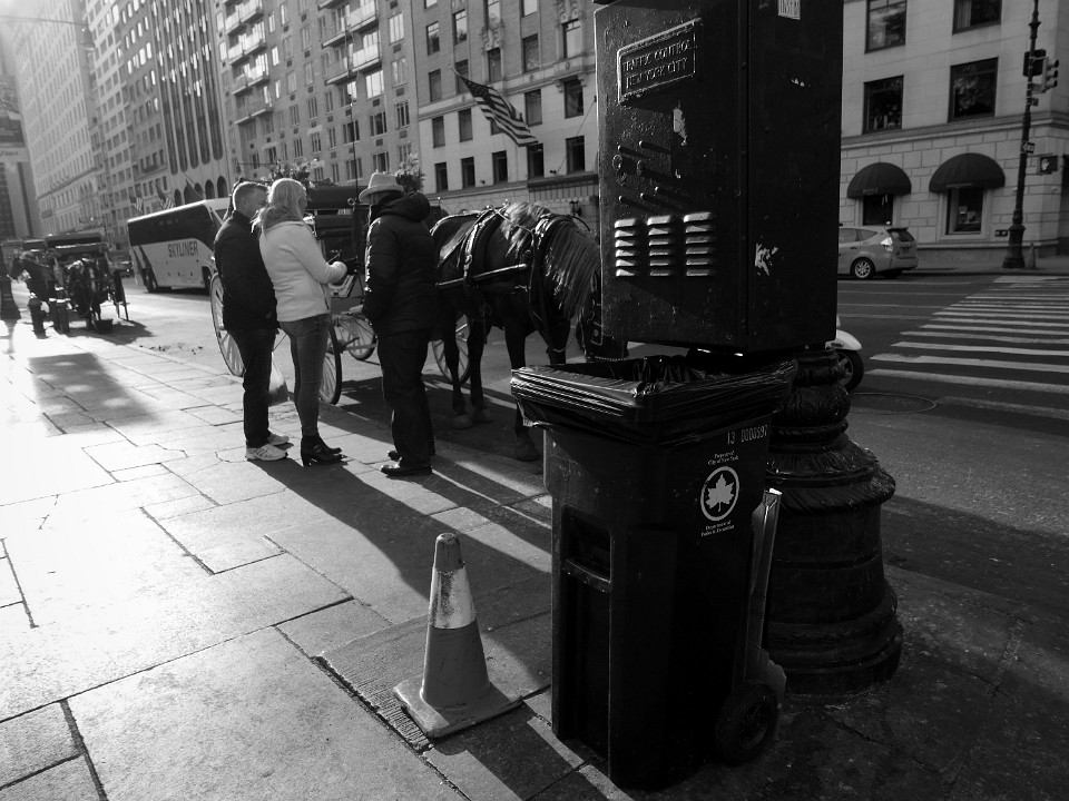P1040638