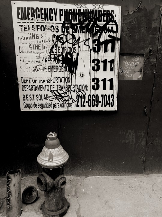 P1040905