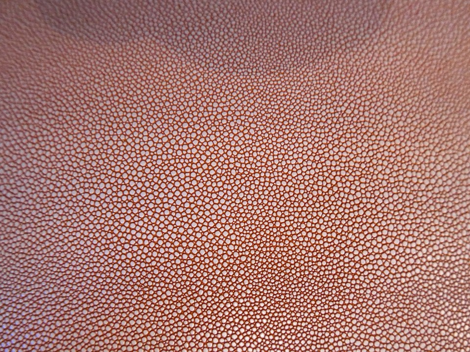 P1070721