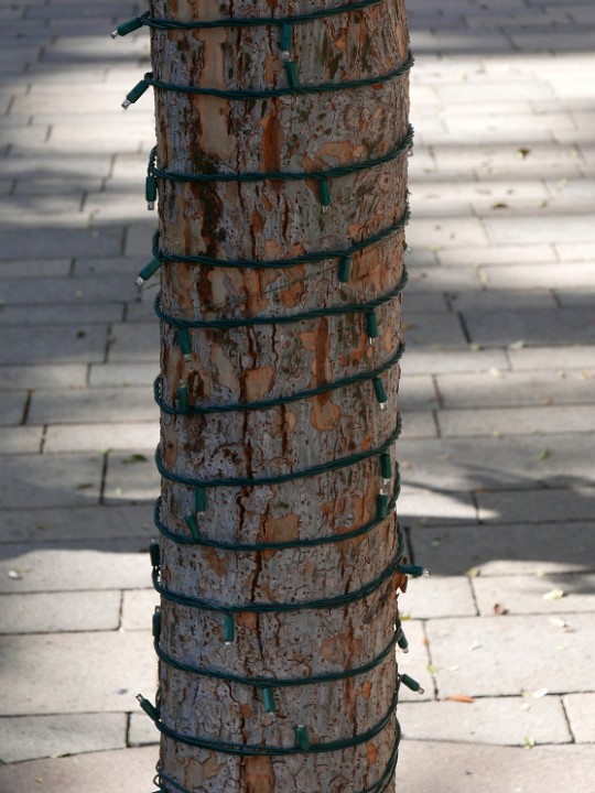 P1090054