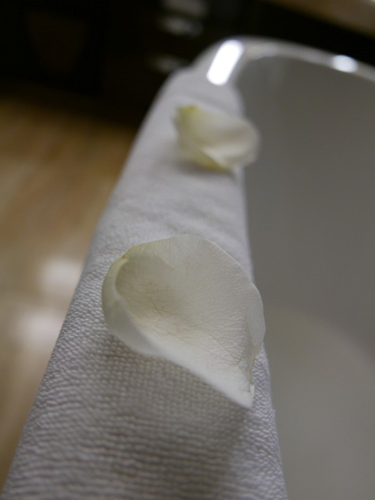 P1100498