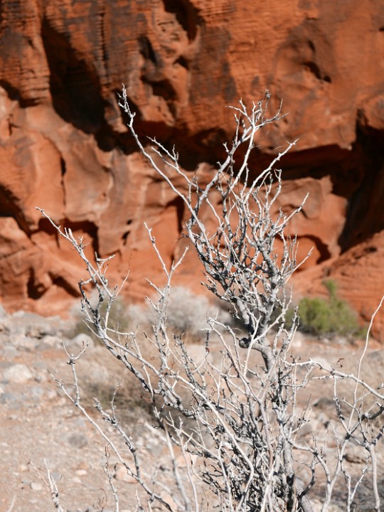 P1090991
