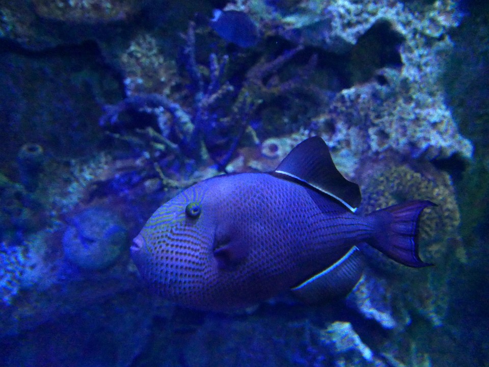P1110542